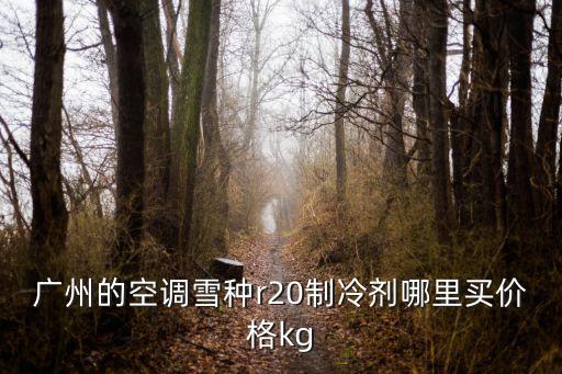广州的空调雪种r20制冷剂哪里买价格kg
