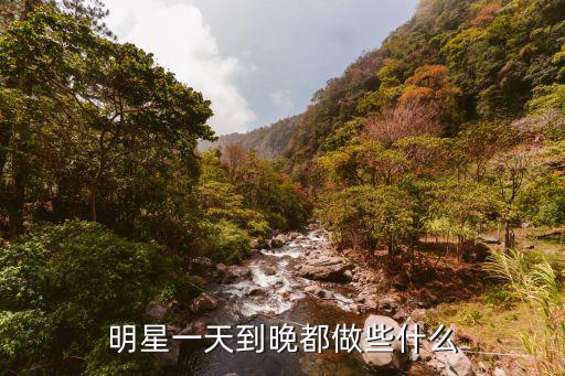 明星一天到晚都做些什么