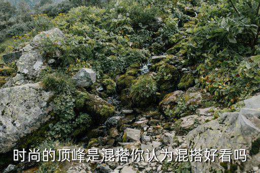 时尚的顶峰是混搭你认为混搭好看吗
