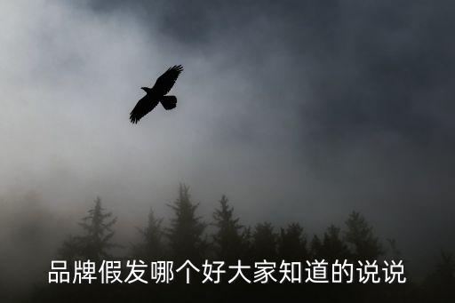 品牌假发哪个好大家知道的说说