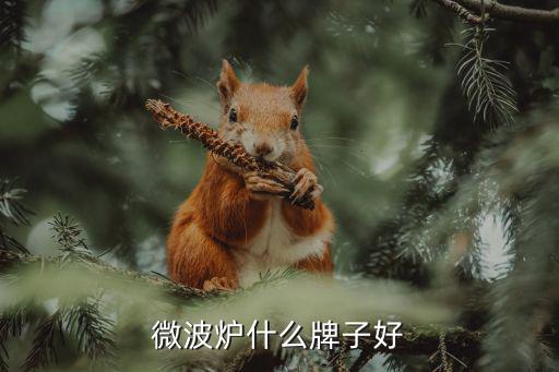 微波炉什么牌子好
