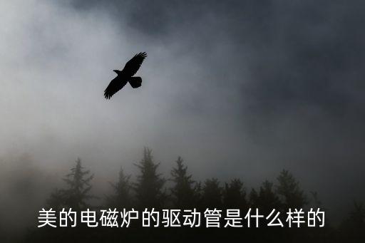 美的电磁炉的驱动管是什么样的