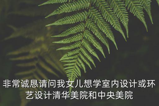 非常诚恳请问我女儿想学室内设计或环艺设计清华美院和中央美院