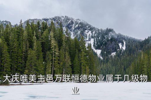 大庆唯美主邑万联恒德物业属于几级物业