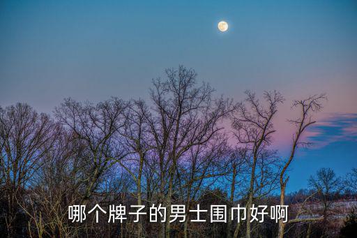 哪个牌子的男士围巾好啊