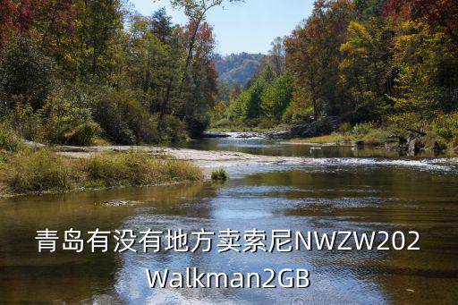 青岛有没有地方卖索尼NWZW202Walkman2GB