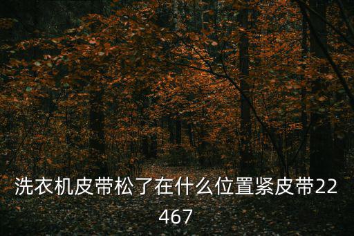 洗衣机皮带松了在什么位置紧皮带22467