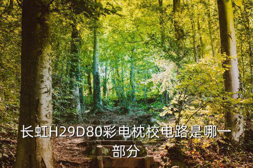 长虹H29D80彩电枕校电路是哪一部分