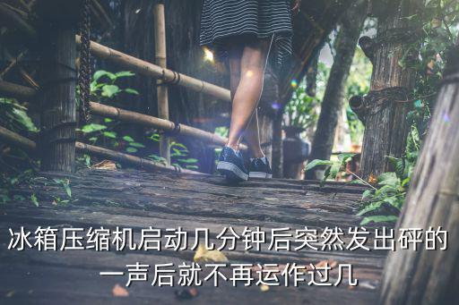 西门子冰箱压缩机保险丝在哪里，冰柜不通电保险丝在哪里