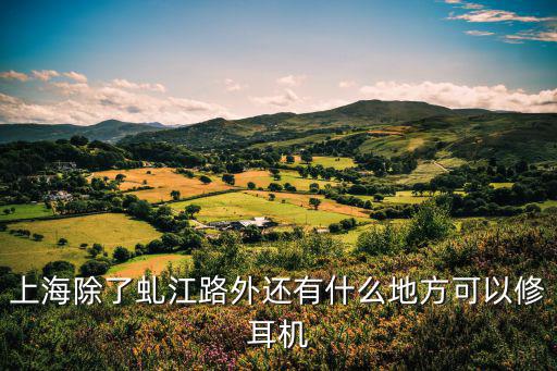 上海除了虬江路外还有什么地方可以修耳机