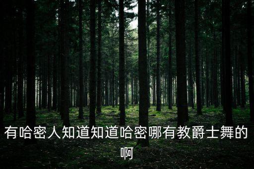 哈密电脑速成班哪里有教的，请问新疆哈密哪里学网页制作最便宜并且能包教包会的