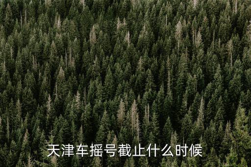 天津车摇号截止什么时候