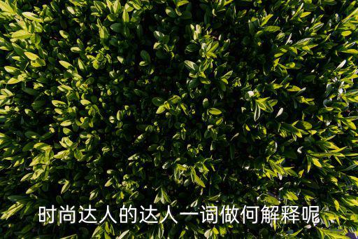 时尚达人的达人一词做何解释呢