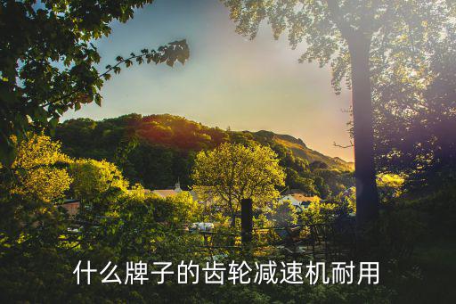 什么牌子的齿轮减速机耐用