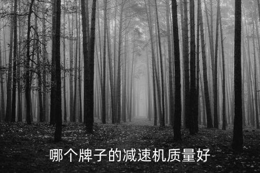 哪个牌子的减速机质量好