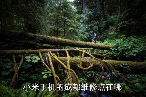 小米手机的成都维修点在哪