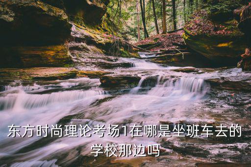 新时尚考场在哪个区，武汉市机动车驾驶员科目四新农考场在哪里