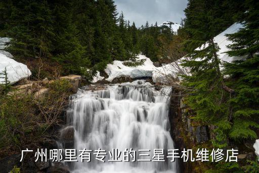 广州哪里有专业的三星手机维修店