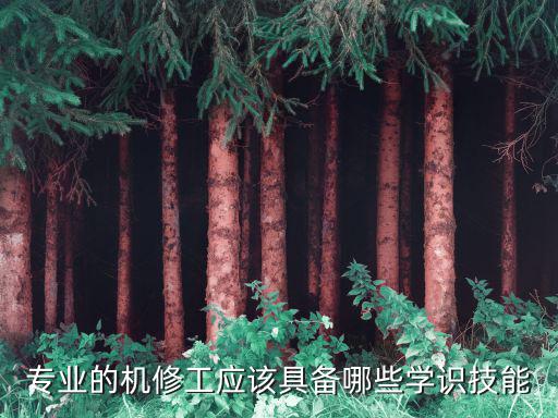 专业的机修工应该具备哪些学识技能