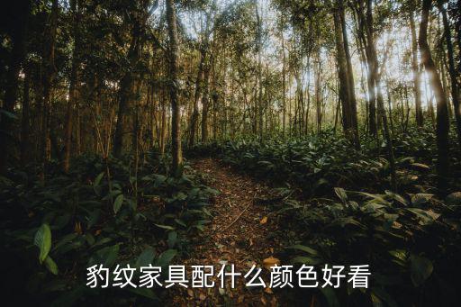 豹纹家具配什么颜色好看