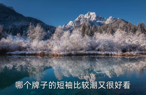 深灰短袖哪个牌子好看时尚，我想知道生日快乐里古天乐穿的那件深灰色短袖T恤什么牌子