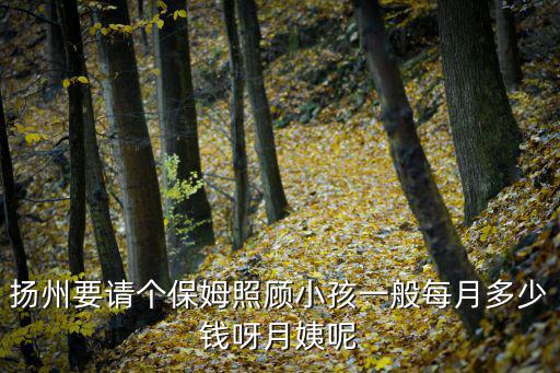 扬州要请个保姆照顾小孩一般每月多少钱呀月姨呢