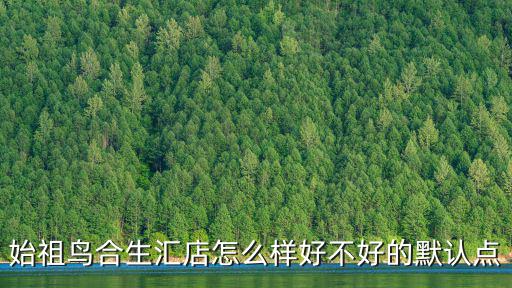 始祖鸟合生汇店怎么样好不好的默认点