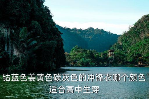 钴蓝色姜黄色碳灰色的冲锋衣哪个颜色适合高中生穿