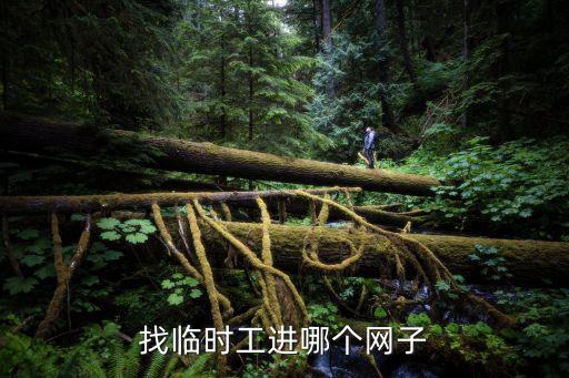 找小时工上哪个网，找临时工进哪个网子
