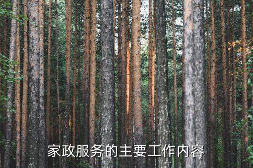 家政服务的主要工作内容