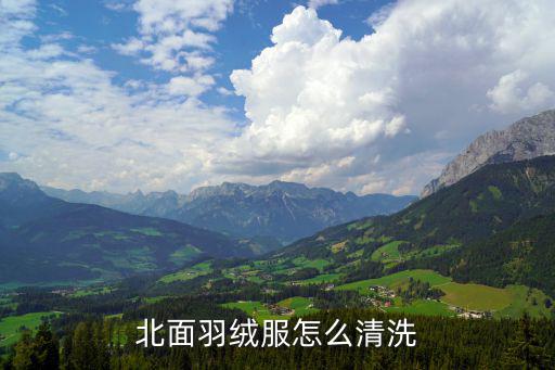 北面羽绒服怎么清洗