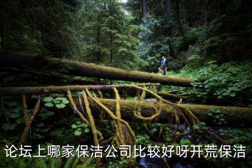 论坛上哪家保洁公司比较好呀开荒保洁