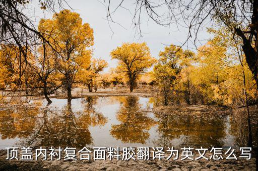 顶盖内衬复合面料胶翻译为英文怎么写