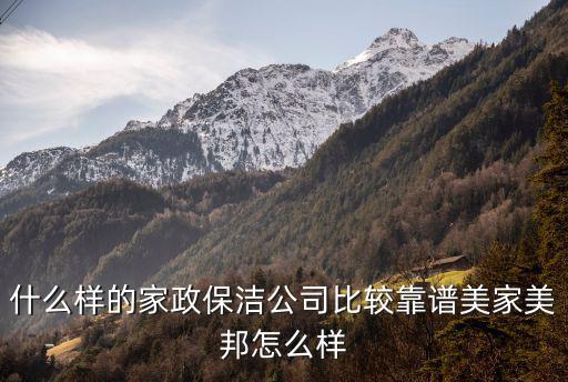家政保洁哪个品牌好，保洁公司哪家好