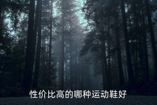跑鞋什么牌子性价比高，什么品牌的运动鞋好性价比高的