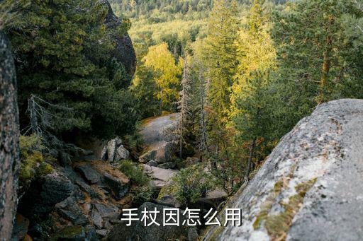 手杖因怎么用