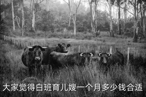 大家觉得白班育儿嫂一个月多少钱合适