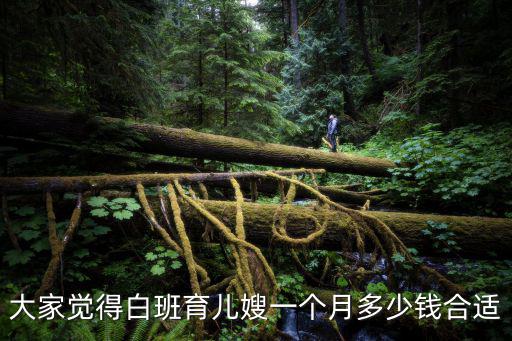 大家觉得白班育儿嫂一个月多少钱合适