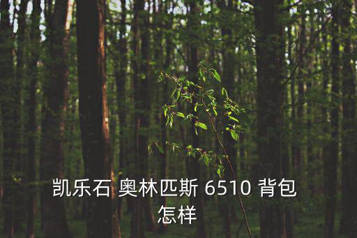 凯乐石 奥林匹斯 6510 背包 怎样
