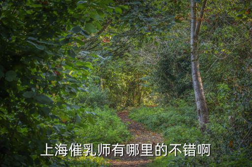 上海哪个催乳公司好，上海催乳师有哪里的不错啊