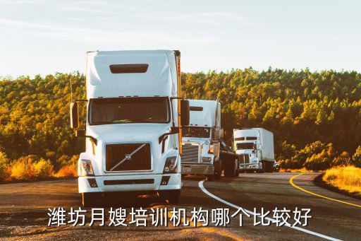 潍坊月嫂培训机构哪个比较好