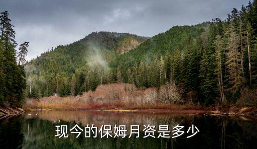 现今的保姆月资是多少
