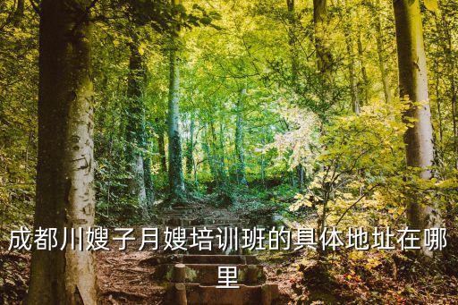 成都川嫂子月嫂培训班的具体地址在哪里
