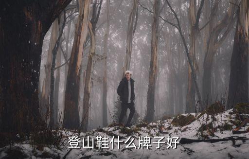 登山鞋什么牌子，登山鞋什么牌子好