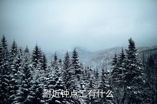 附近钟点工有什么