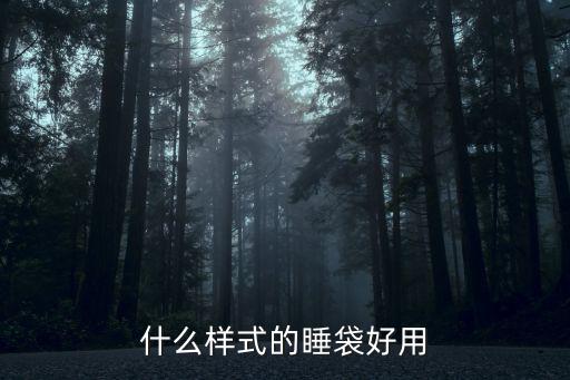什么样式的睡袋好用