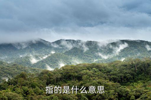 指的是什么意思