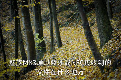 魅族MX3通过蓝牙或NFC接收到的文件在什么地方