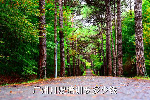 广州月嫂培训要多少钱