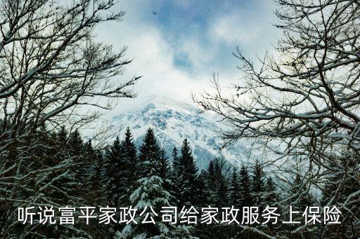 家政服务保险单是什么，听说富平家政公司给家政服务上保险